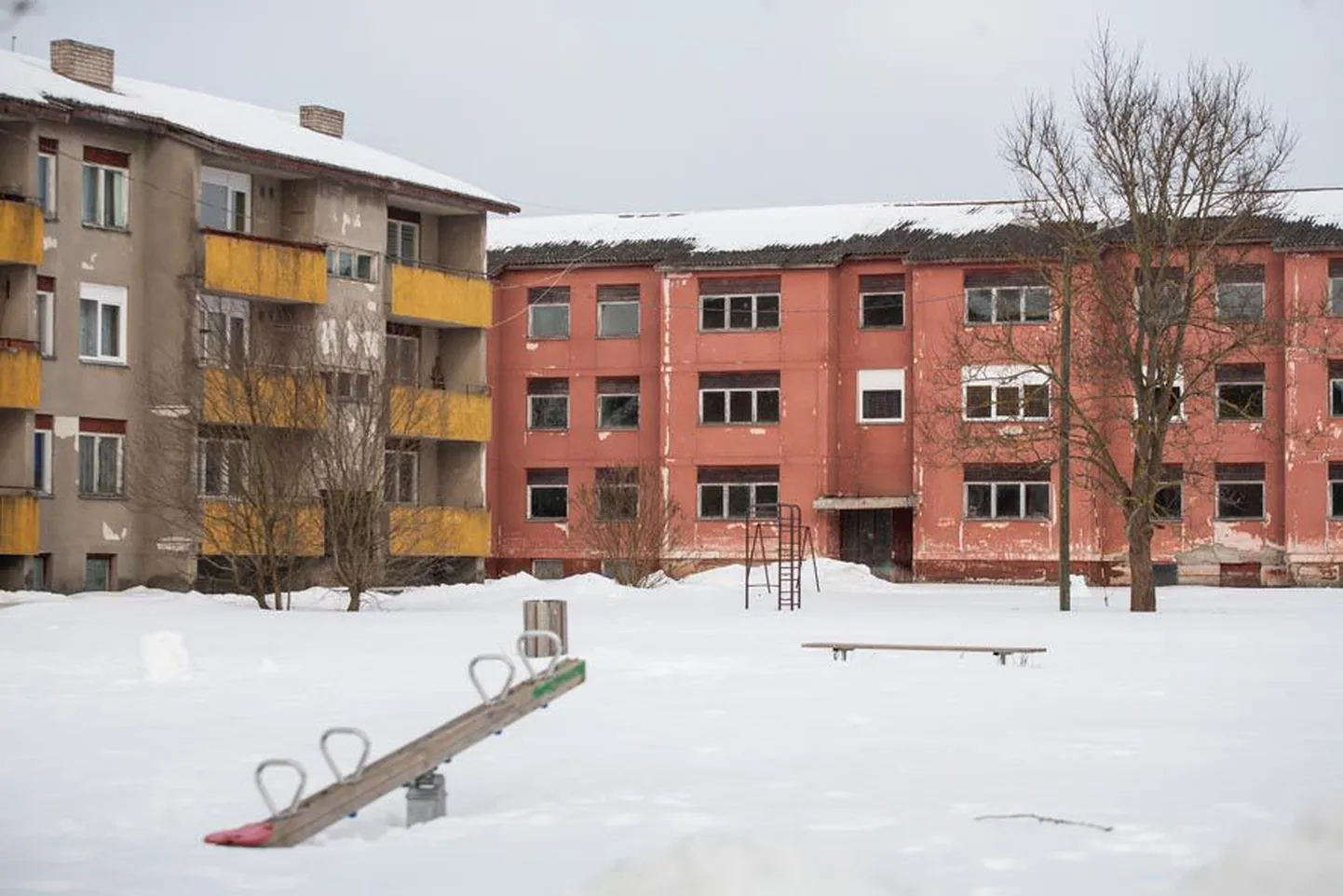 Paide valla Tarbja küla majades on suur osa korteritest tühjad.