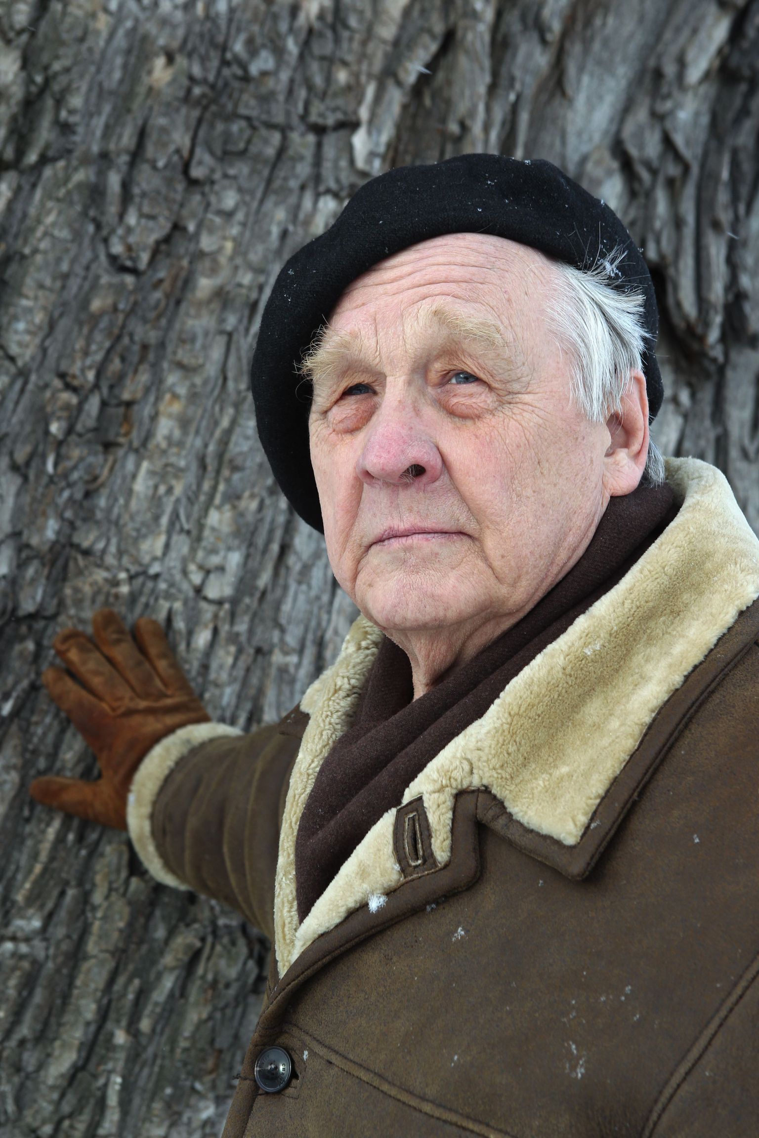 Arvo Valton (Vallikivi)
