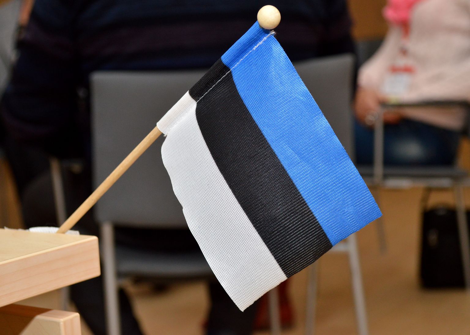 Igaunijas karogs. Ilustratīvs attēls