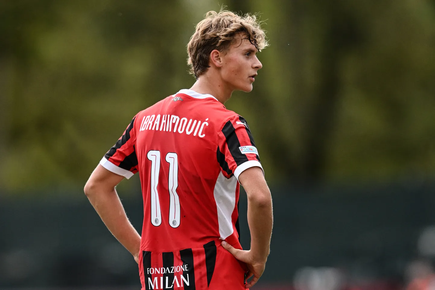 Maximilian Ibrahimovic