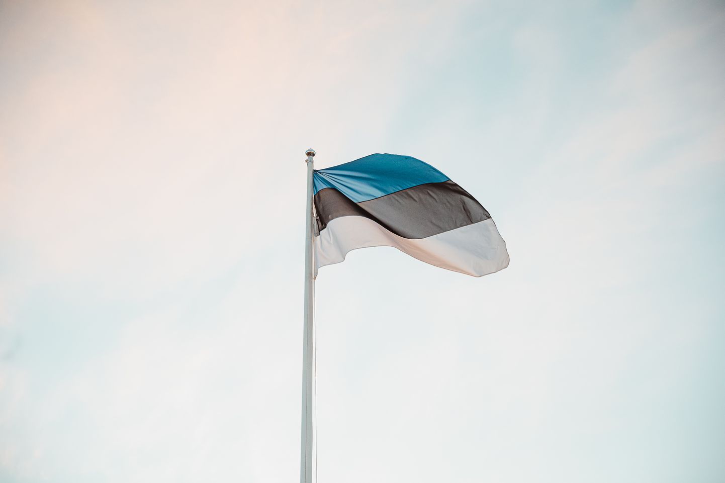 Государственный флаг Эстонской Республики.