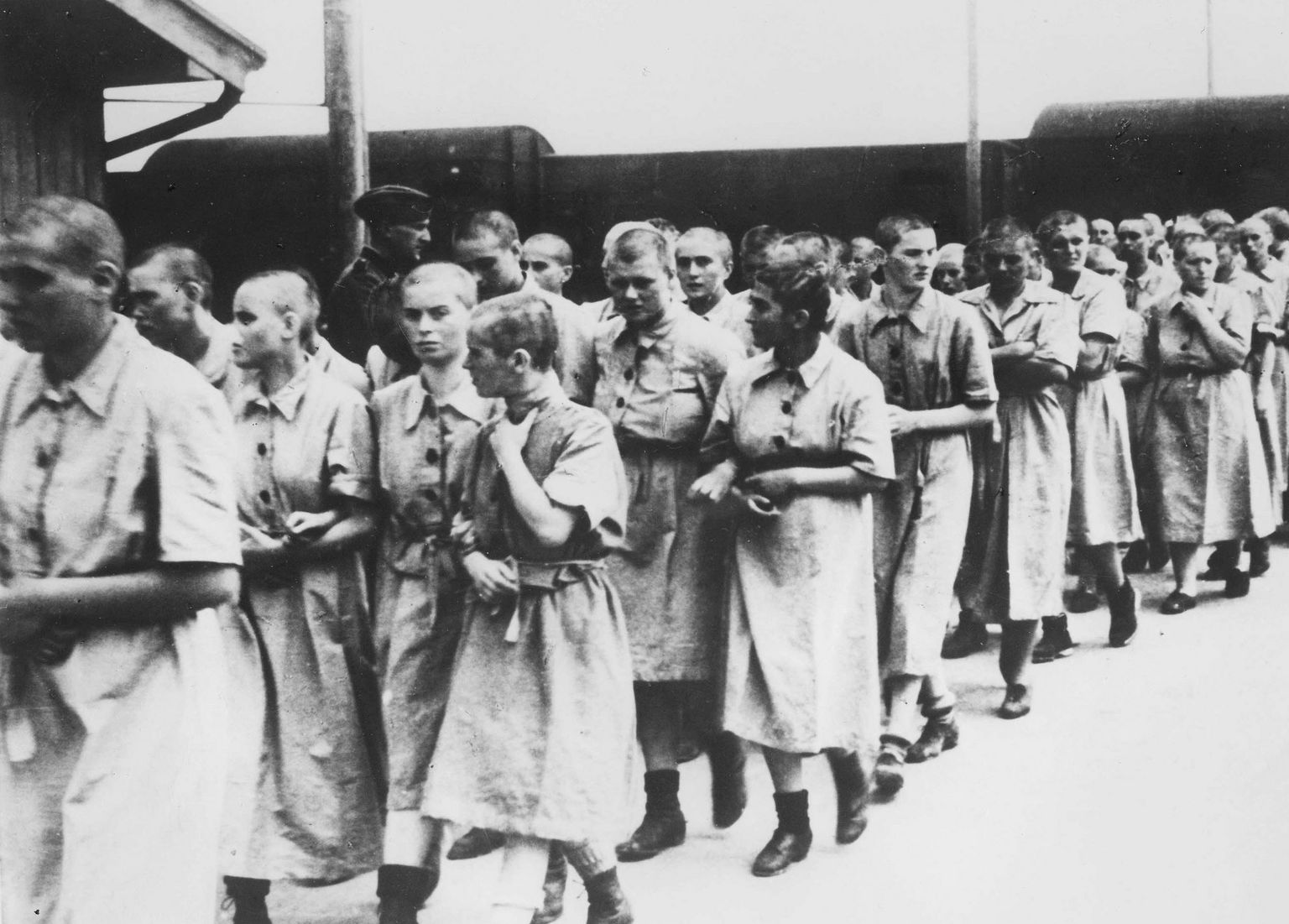 Naised 1944. aastal Auschwitz-Birkenau koonduslaagris. Pilt on illustreeriv.