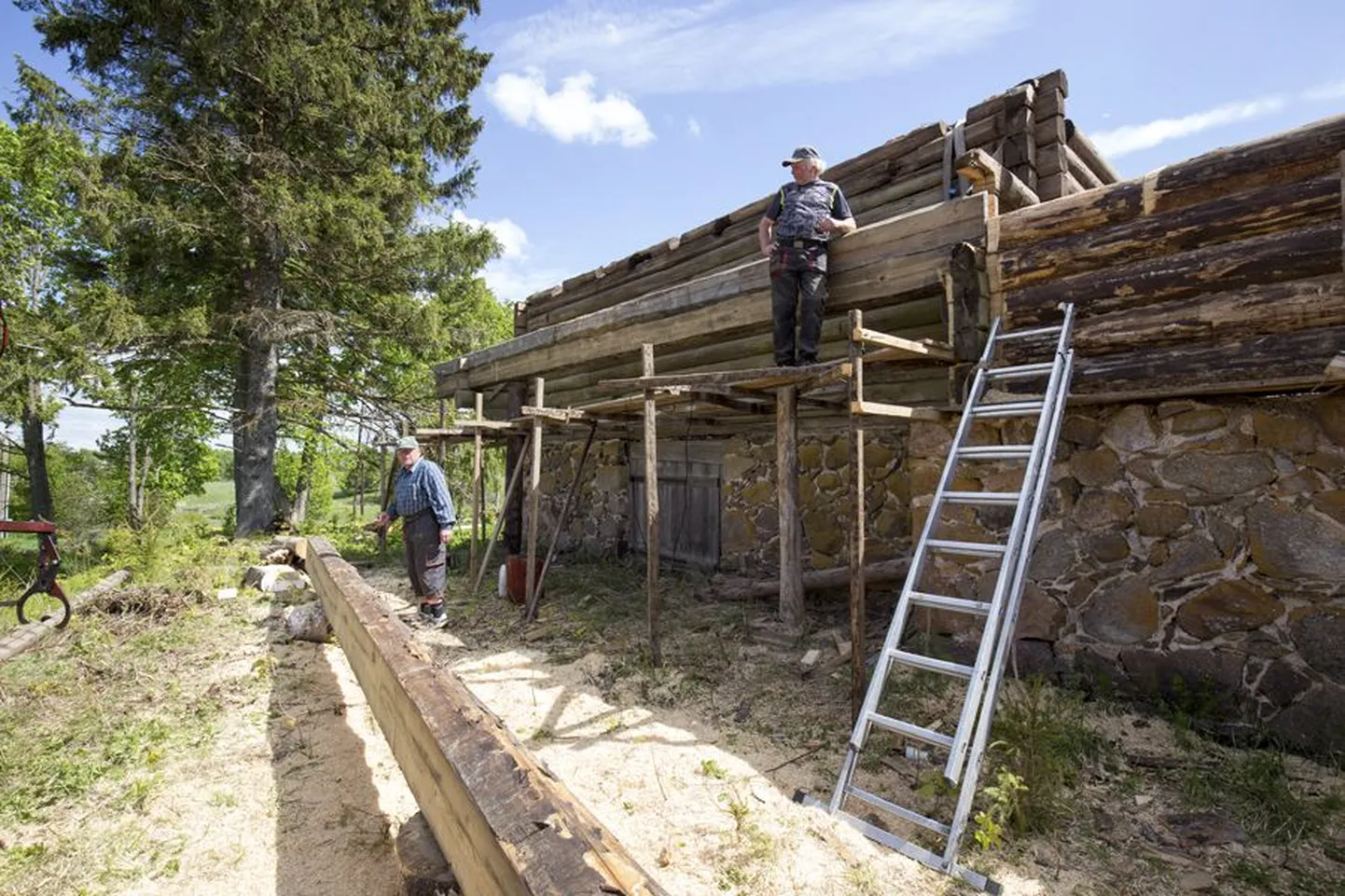Halliste sööklast lõunapausilt naasnud Denni Roop (üleval) ja  Enn Laarmaa alustasid taas palgivahetust. Peagi pidid nad vana maja taastamisega jõudma niikaugele, et nooremad mehed saaksid laastukatuse kallale asuda.
