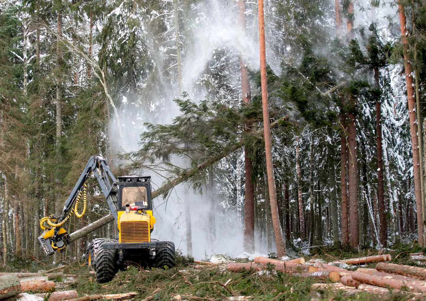 Harvester metsatööl. Pilt on illustratiivne.