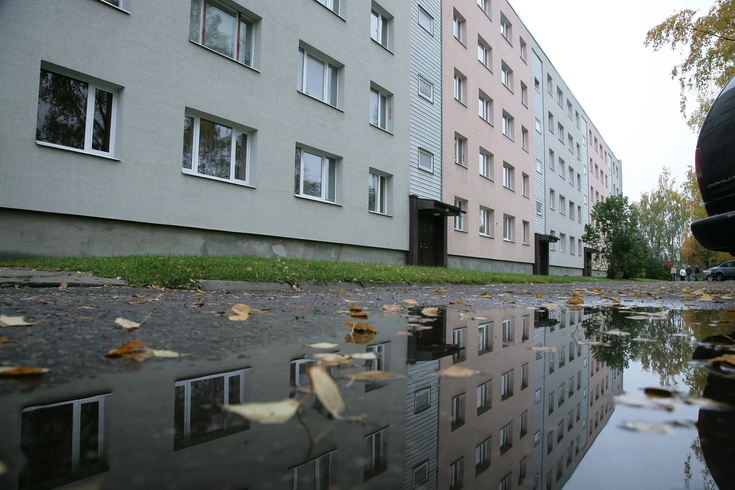 Korteriühistute ühisost.