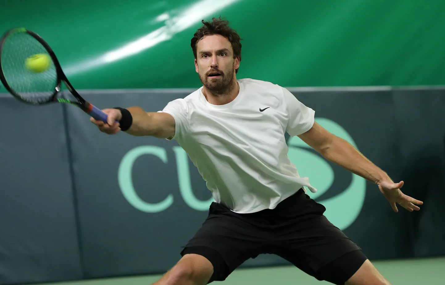 Ernests Gulbis