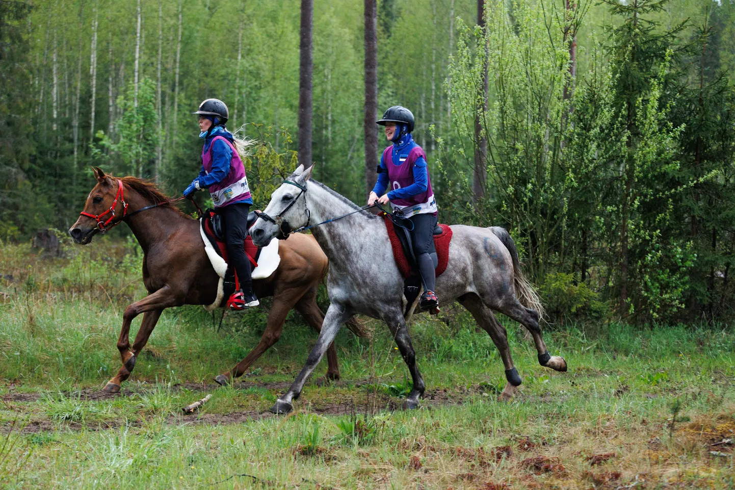 Foto: Kaisa Hurt