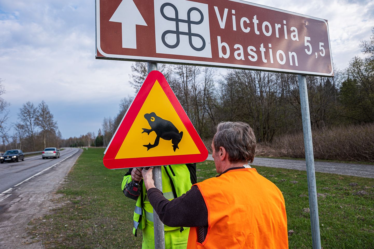 Установка дорожного знака, предупреждающего водителей о лягушках и прочих земноводных на проезжей части.