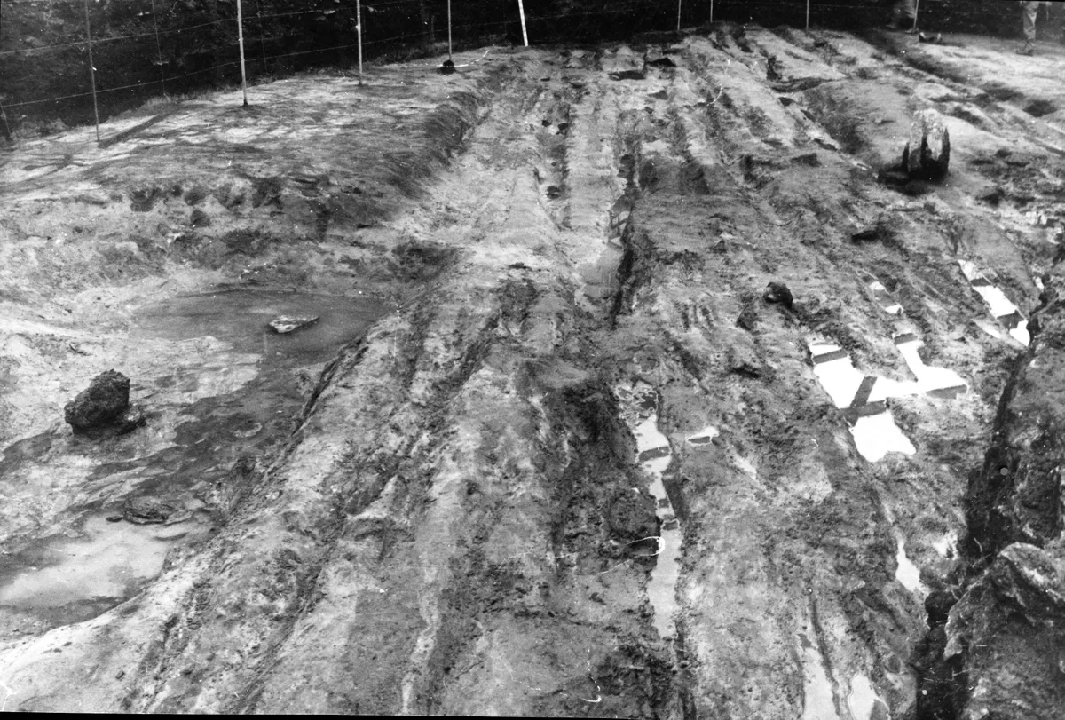 1996. aastal Roosikrantsi 9/11 kaevamistel leitud ohtrate vankriroobastega tee. Roobastest leitud esemekatked ning puiduproov dateerivad tee 11.–13. sajandisse