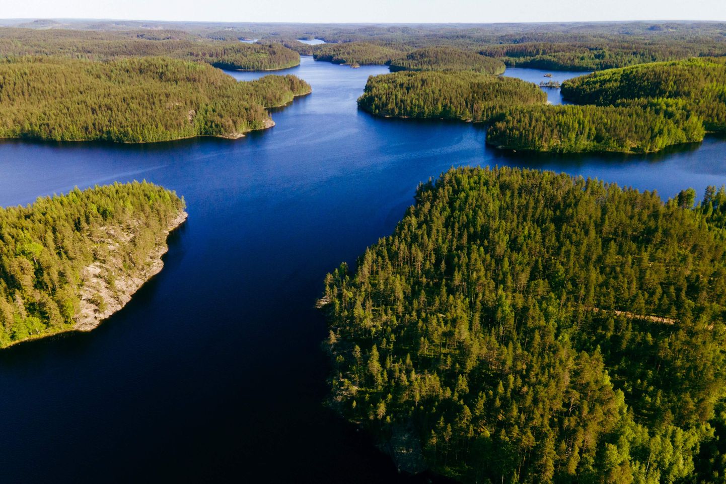 Saimaa järvistu on koduks maailma ühele haruldasemale ja ohustatumale hülgeliigile, Saimaa viigerhüljestele.