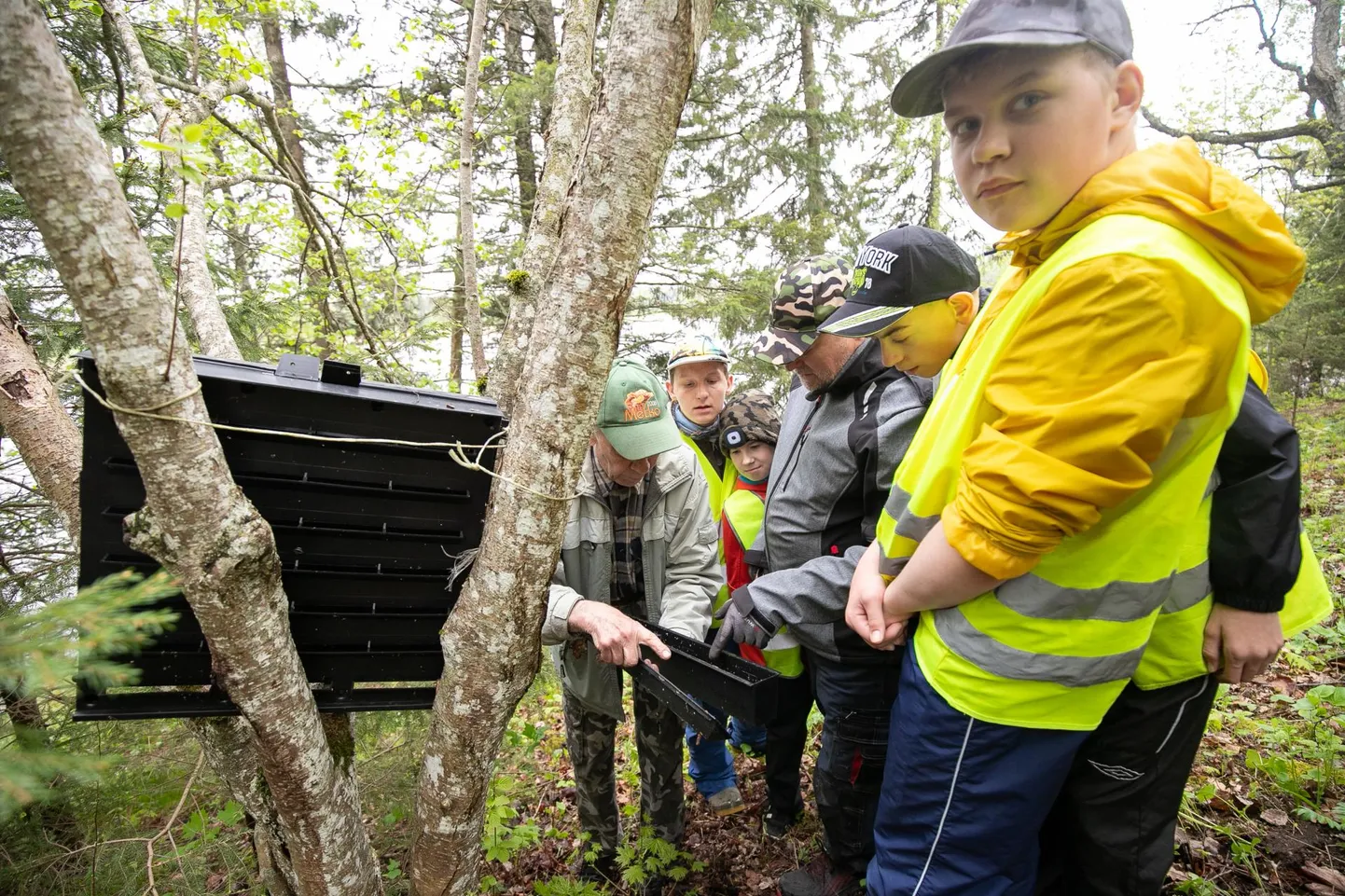 Lapsed uudistasid kuuse-kooreüraski püünise sisu.