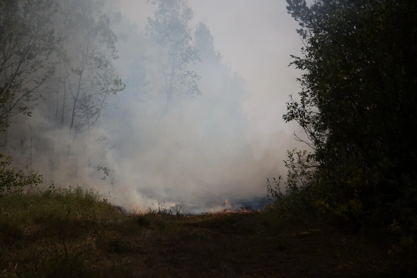 Maastikupõleng. Pilt on illustratiivne.