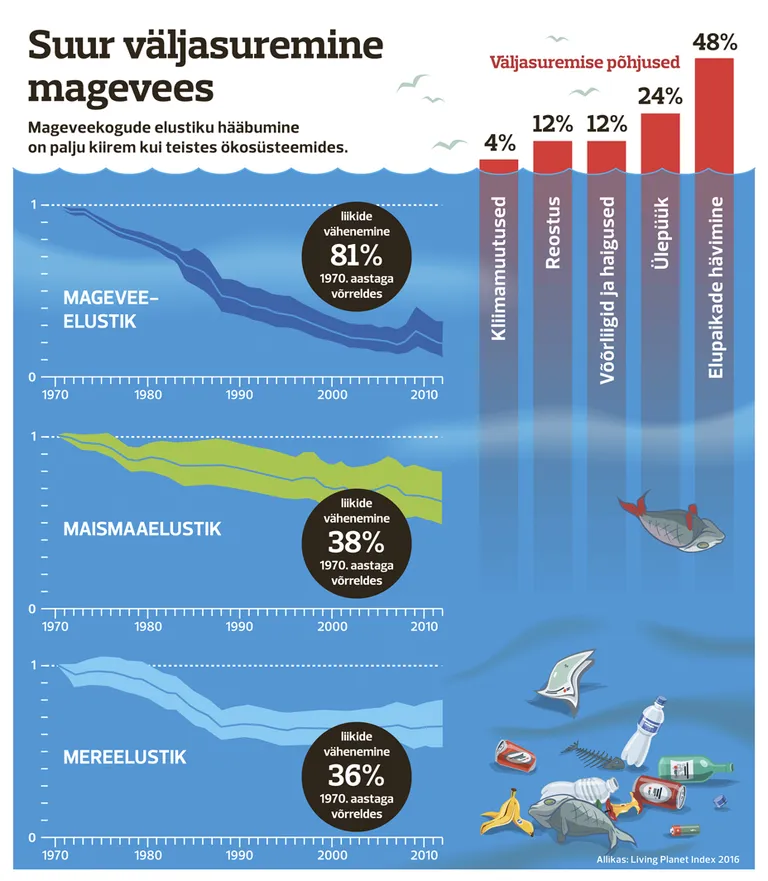 Suur väljasuremine magevees