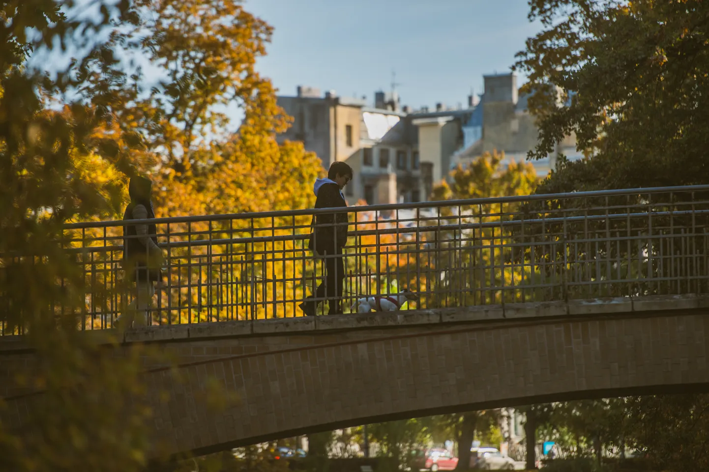 Saulaina rudens diena Rīgā