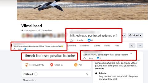«KES KUSTUTAB?» ⟩ Viimsi peksujuhtumi postitused kaovad kogukonnagrupist, administraator ja vald eitavad sekkumist