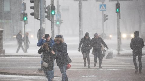 Погодный апокалипсис? На Эстонию надвигаются шторм и снегопад 