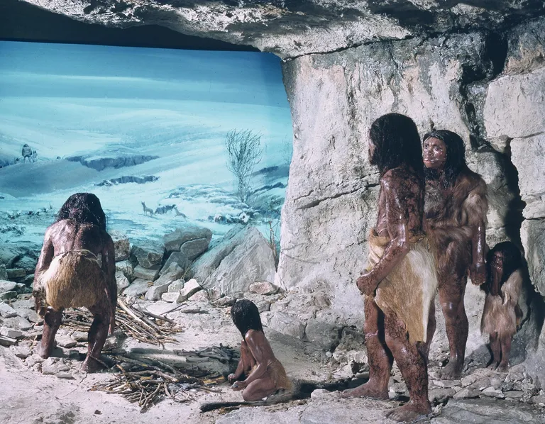 Neandertallased olid ühed esimesed, kes kandsid kehakatetena loomanahku.