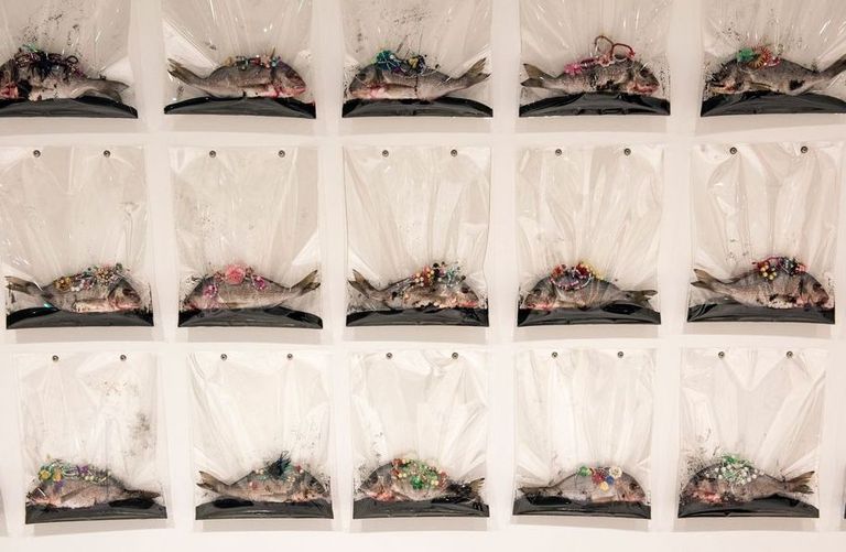 Lõuna-Korea kunstniku Lee Buli kalainstallatsioon «Magic Splendor»