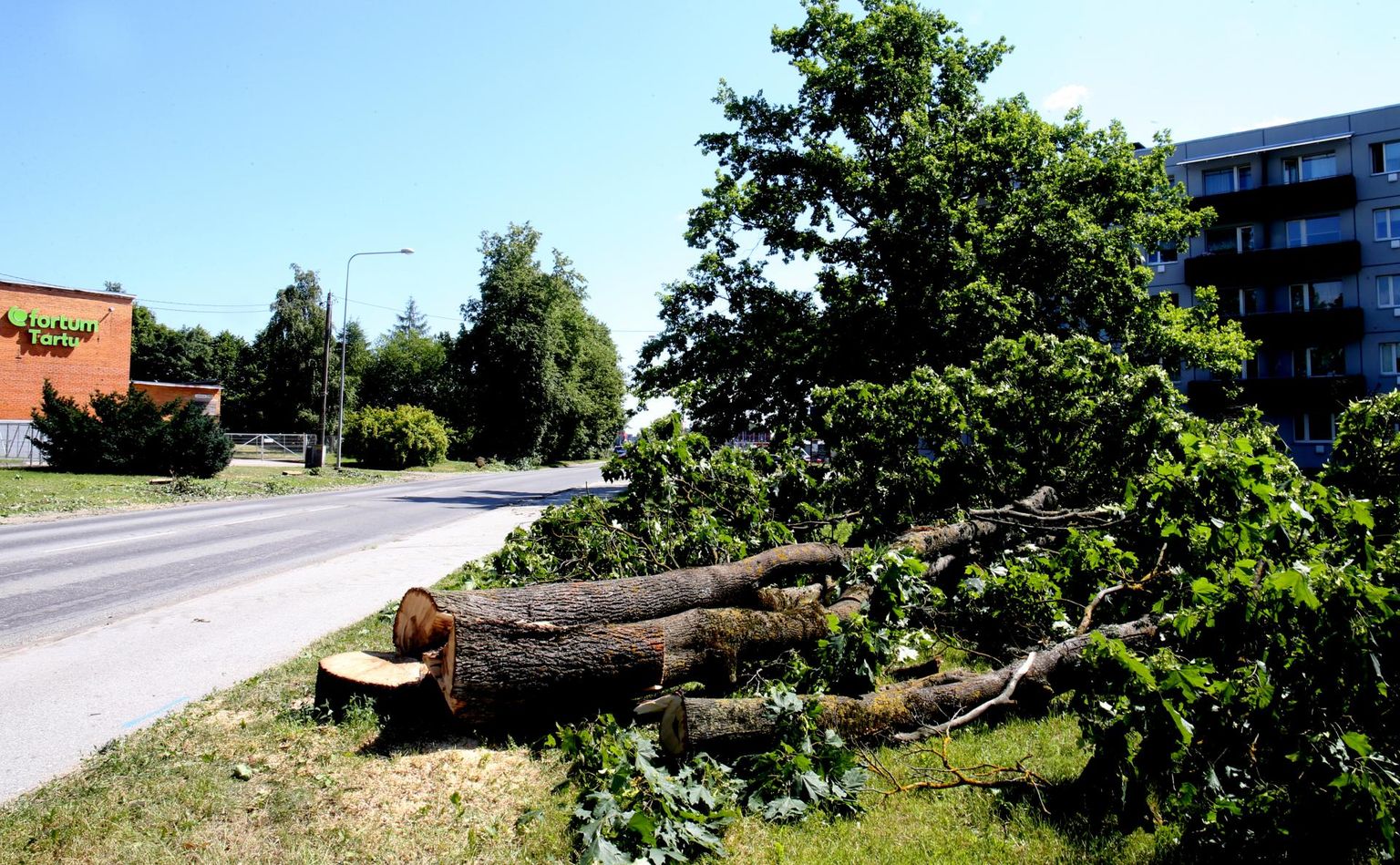 Palju puid võeti maha Aardla tänava lõpus Fortum Tartu katlamaja lähistel.
 