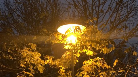 LOODUSKALENDER ⟩ Tuule suund on süüdvestist