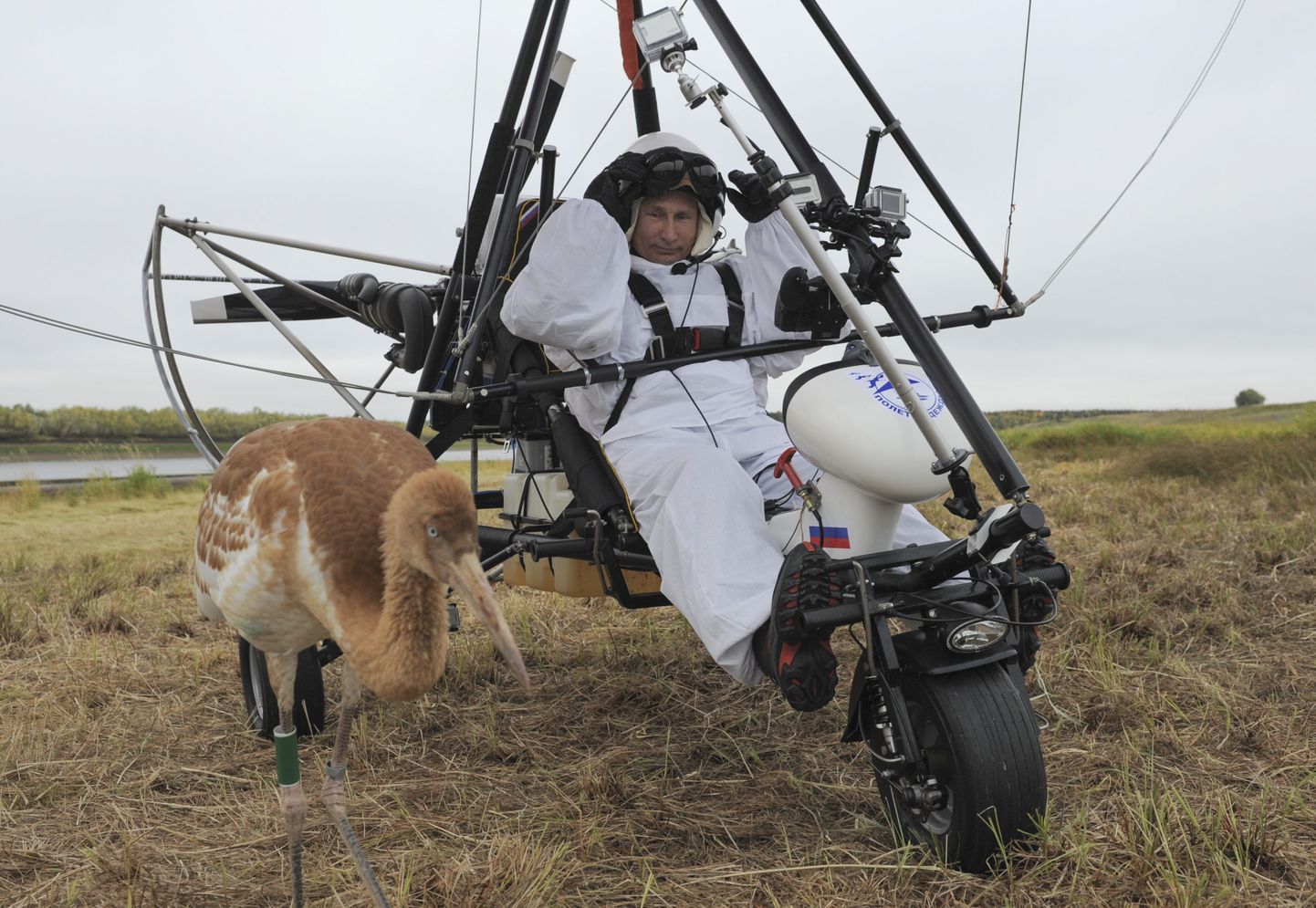 Venemaa president Vladimir Putin 2012. aastal riietus valgesse kostüümi ja tõusis deltaplaanil õhku, et vangistuses kasvanud kurgedele lendamist õpetada. Pilt on illustratiivne.