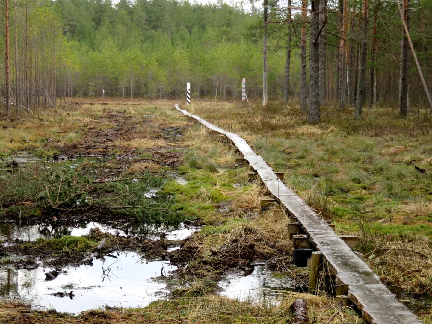 Kuubalane sõitis Võtumaal jalgrattaga salaja üle Eesti-Vene piiri.