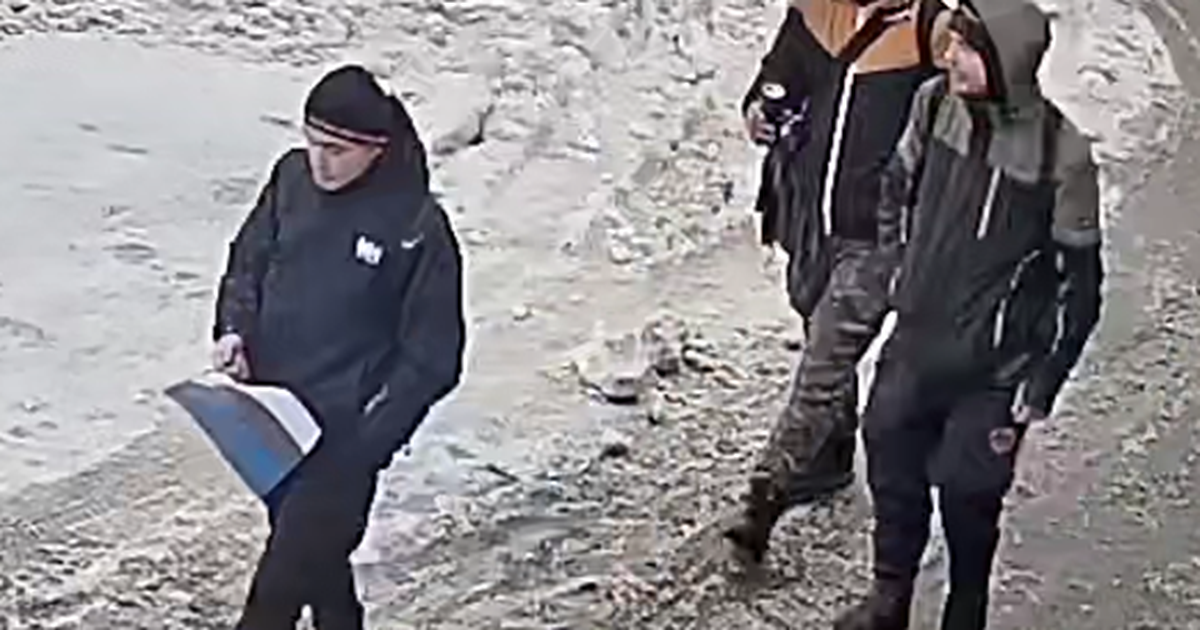 Põhja-Tallinnas Eesti lippu põletanud meest karistati üldkasuliku tööga