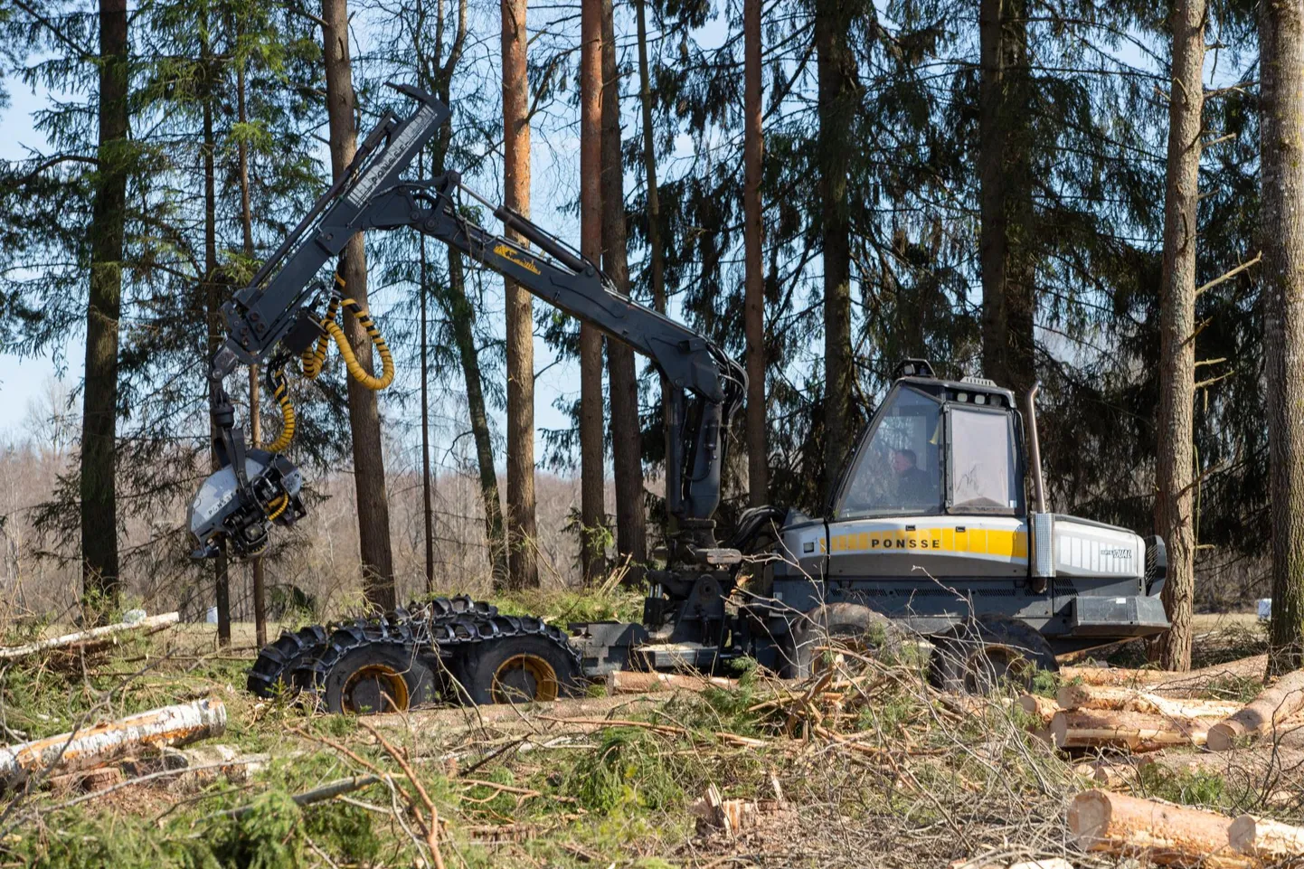 Keskkonnainspektorite saabumisest hoolimata ei jäänud langetustraktor kohe seisma, ent siirdus maha võtma kuivanud puid ja võsa.