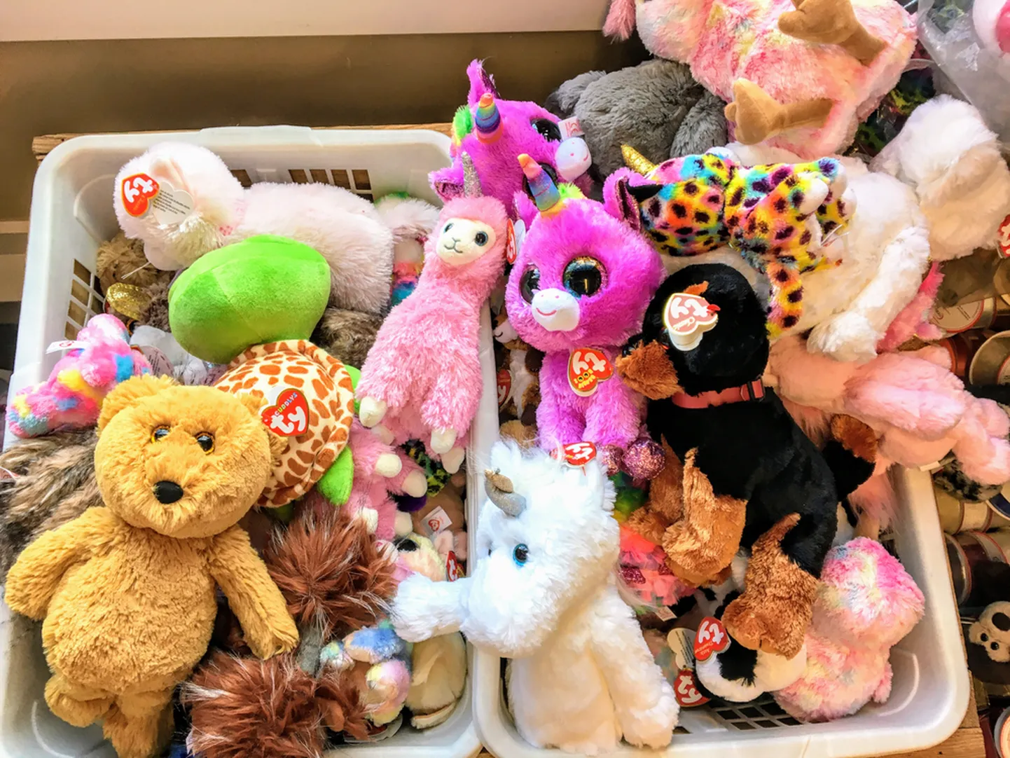 Beanie Babyd