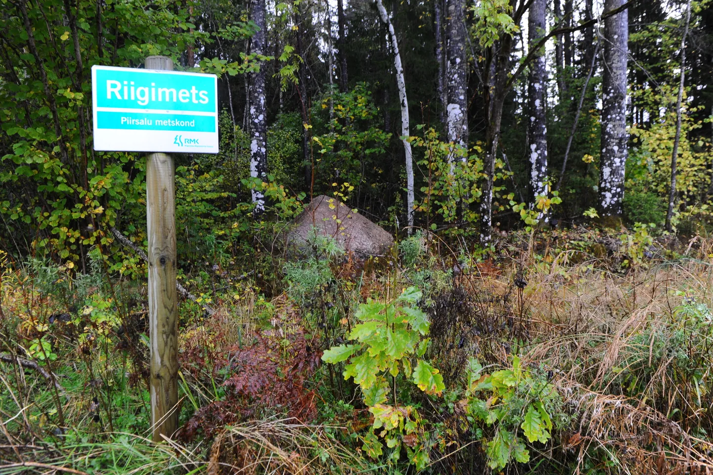 Riigimets,