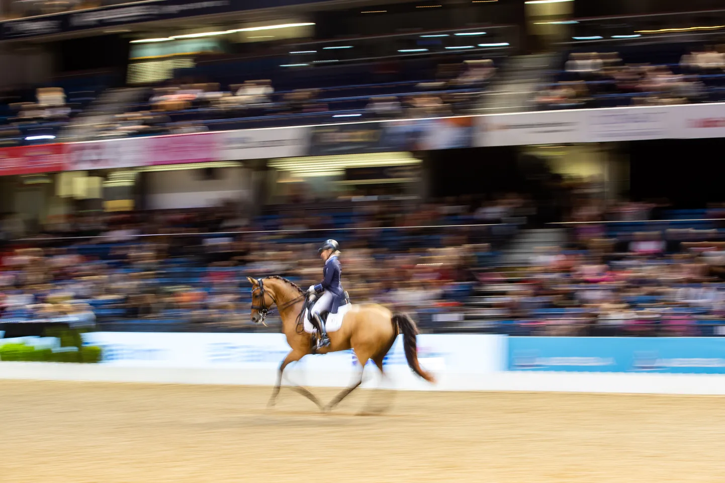 Tallinn International Horseshow 2018 koolisõit.