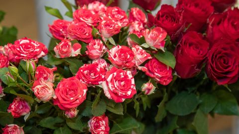 Kuhu minna nädalavahetusel Lõuna-Eestis?