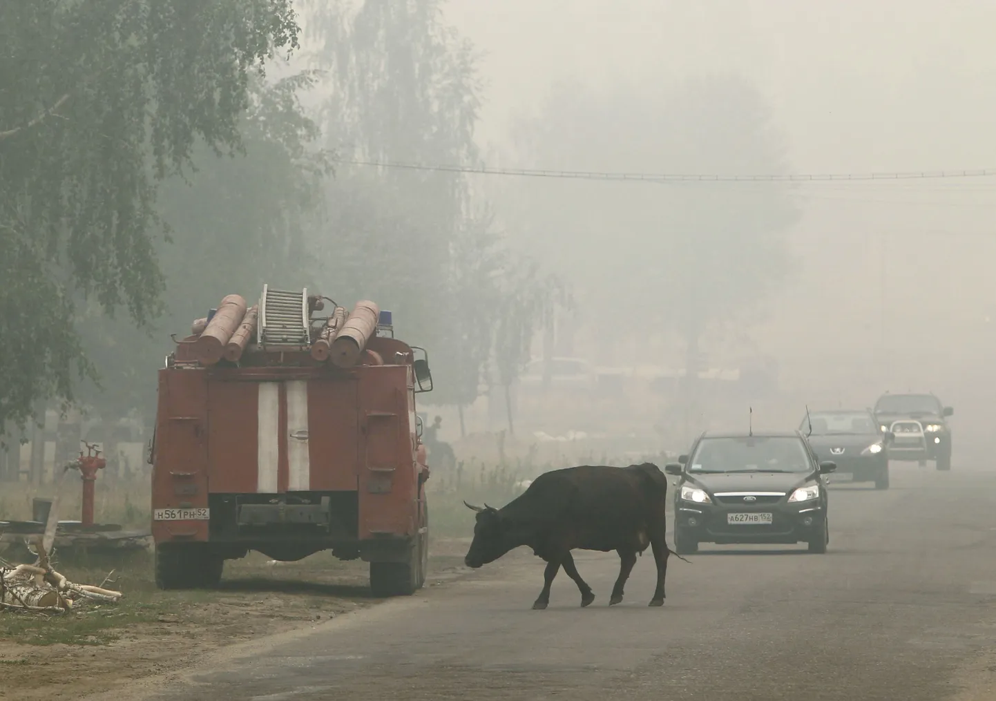 Kokku põleb Venemaal üle 120 000 hektari metsa.