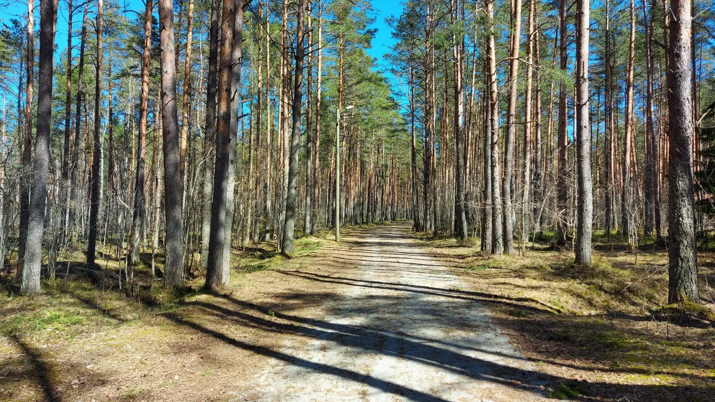 Харкуская тропа здоровья.