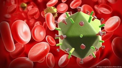 Так выглядит вирус иммунодефицита человека в кровеносной системе
