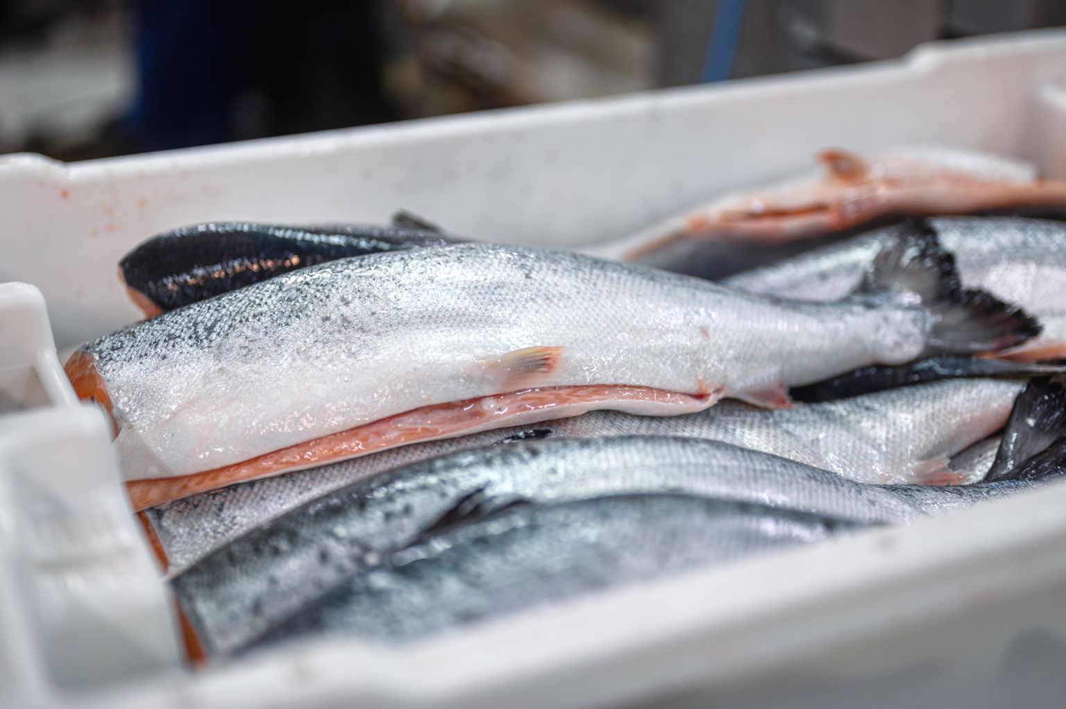Высокая цена на красную рыбу сильно пошатнула позиции бывшего лидера розничной цены.