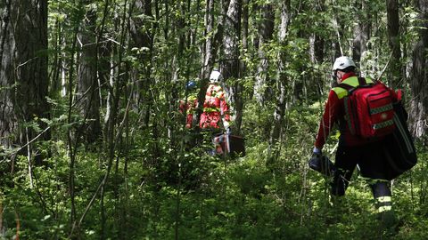 GALERII ⟩ Päästjad, PPA ja kiirabi harjutasid metsas inimese päästmist