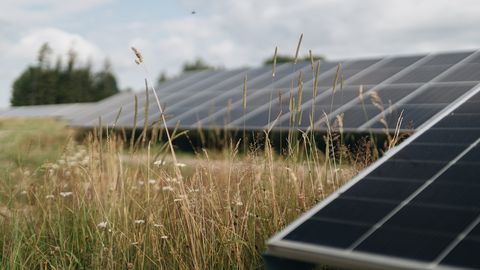 V Latviji odprt sončni park Vārme, vreden 66 milijonov evrov