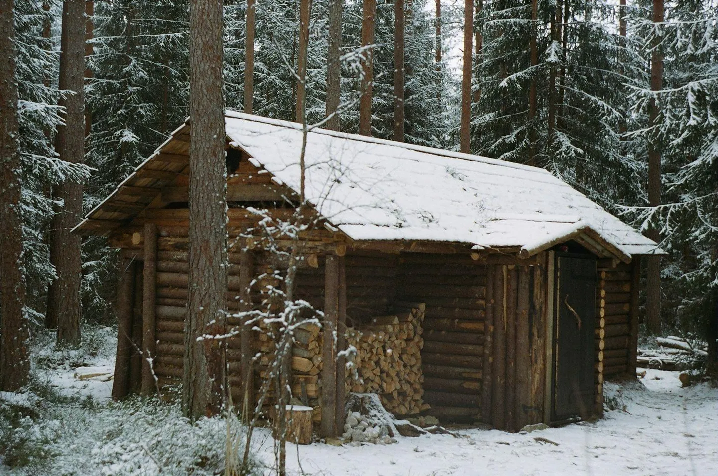 Maapealne Põrgupõhja punker Vigalas. Rekonstruktsioon algse punkri lähedal.