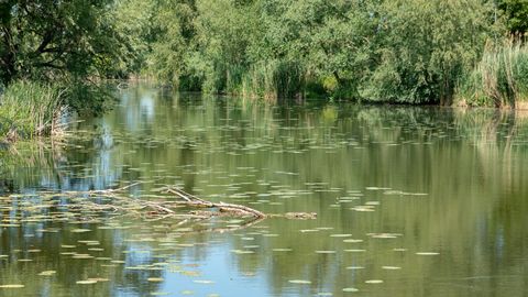 V Latgali je voznik umrl, ko je avto zapeljal v ribnik