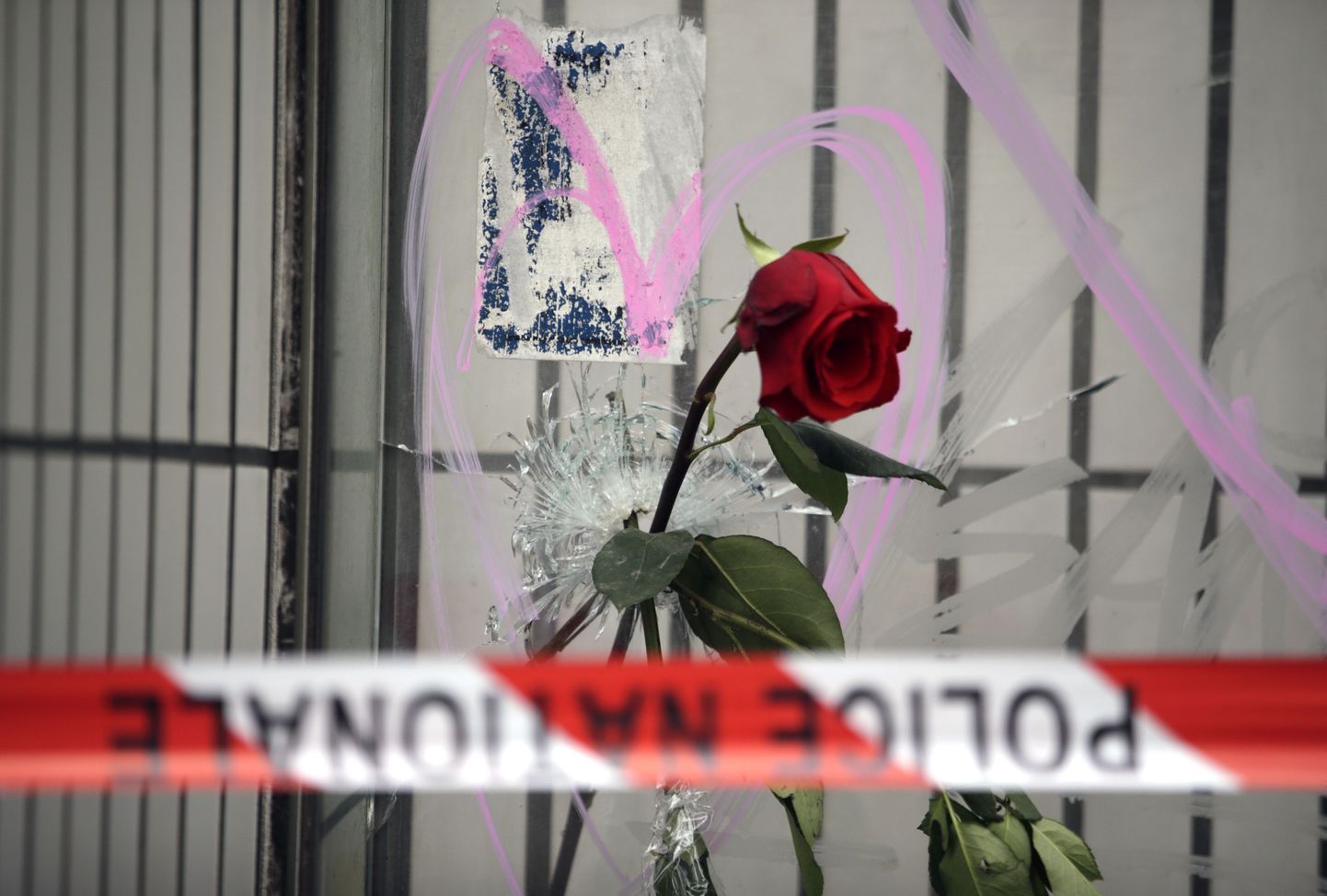 Roos Pariisis novembris aset leidnud terrorirünnaku sündmuspaigas