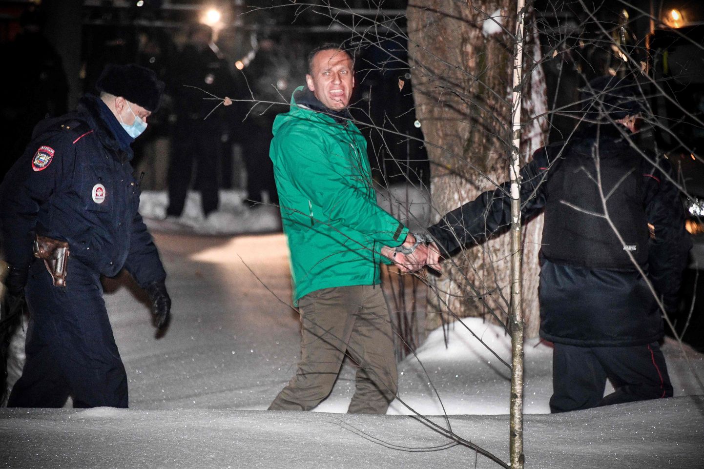 Алексея Навального арестовали на 30 суток.