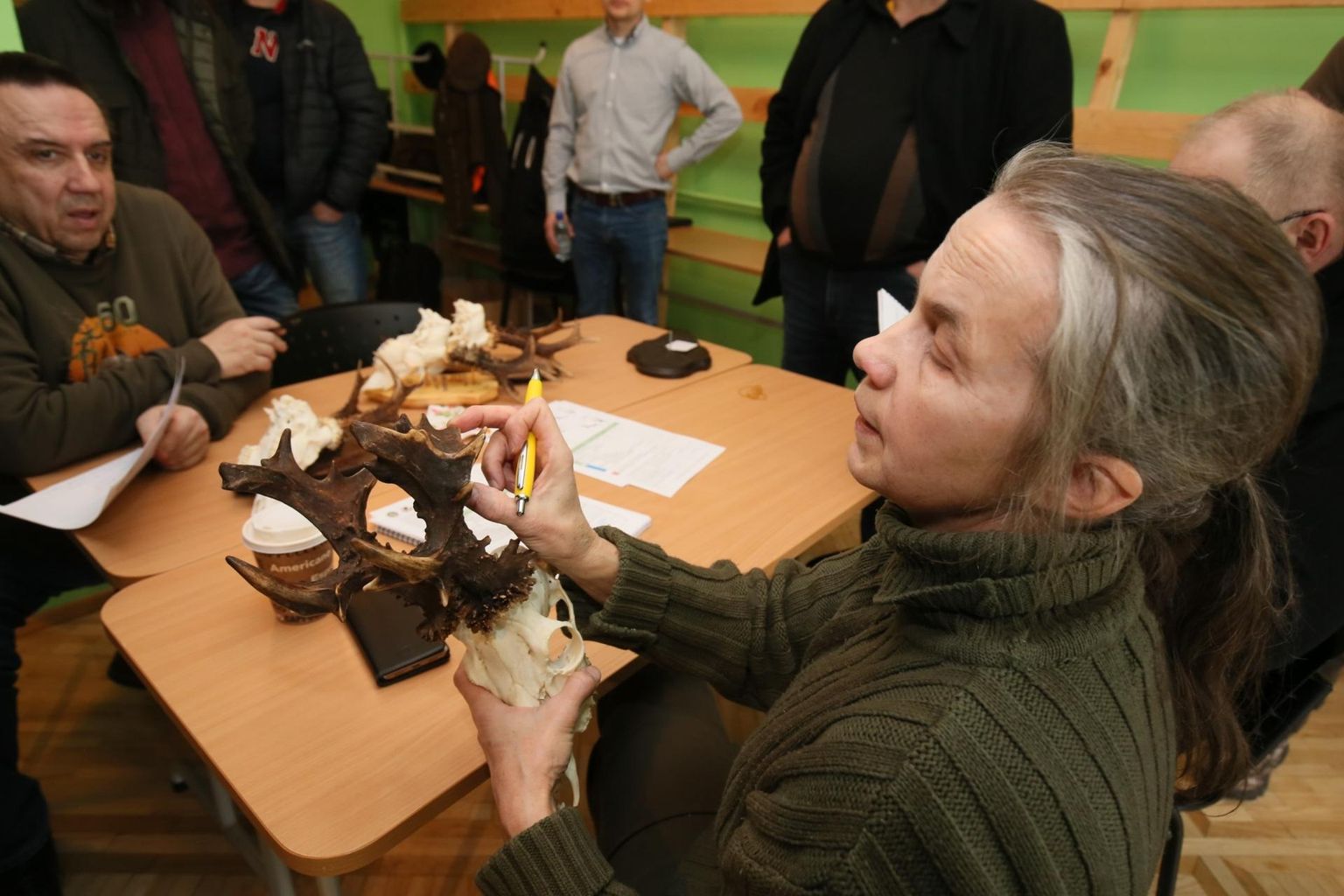 Pärnus on jahitrofeede hindaja Anne Reiteli käes haruldased sokusarved, mida üle laua uudistab trofee-ekspert Andres Lillemäe.