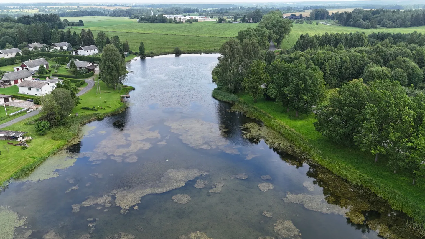 Teadlased võtavad Kambja järve aastaks luubi alla