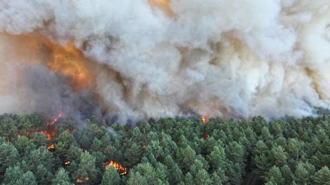Pariisi lähedal Fontainebleau' metsas puhkes suur tulekahju