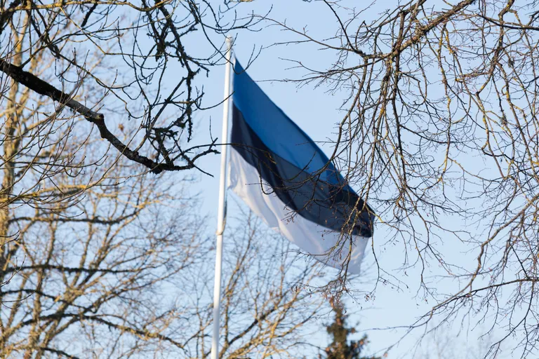 Eesti lipp