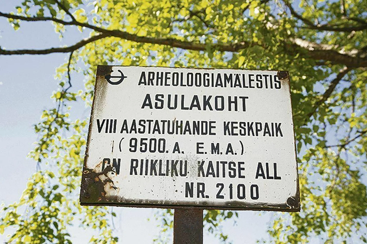 Pulli asulakoht avastati 1967. aastal ning arheoloogilistel kaevamistel leiti rohkelt tulekivist, luust ja sarvest esemeid. Esemete kasutusotstarve oli senini mõistatus.