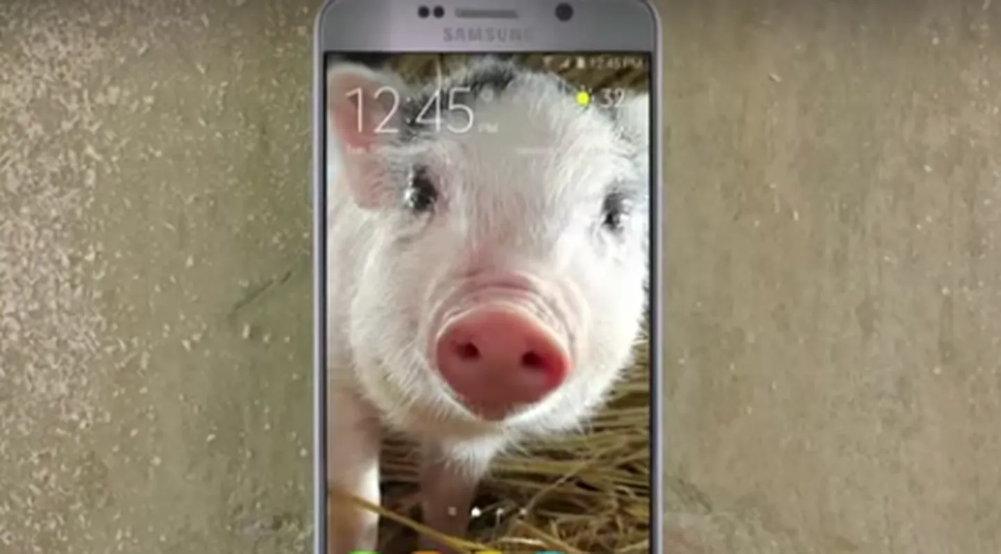 Samsung