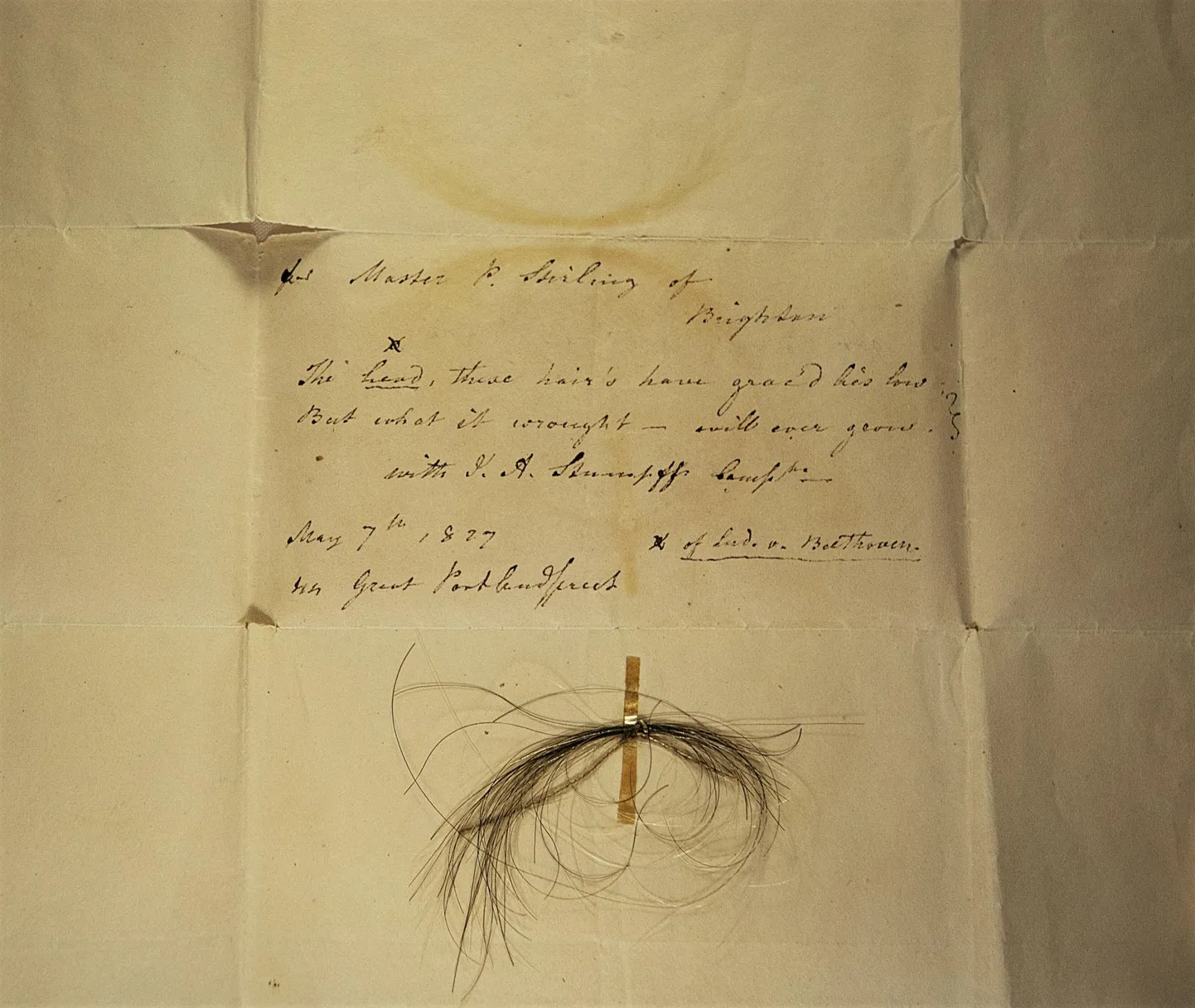 Salk, millest sekveneeriti Beethoveni genoom, on kinnitatud kirjale, mille Johann Andreas Stumpff on adresseerinud Patrick Stirlingile pärast Beethoveni surma 7. mail 1827. aastal.

Ingliskeelsed riimid «The head, these hair’s have grac’d lies low. But what it wrought — will ever grow» kõlaksid vabas tõlkes umbes «Pea, mida need juuksed on kaunistanud, asub küll madalal, kuid see, mida see (pea) on sepistanud, kasvab igavesti edasi...»