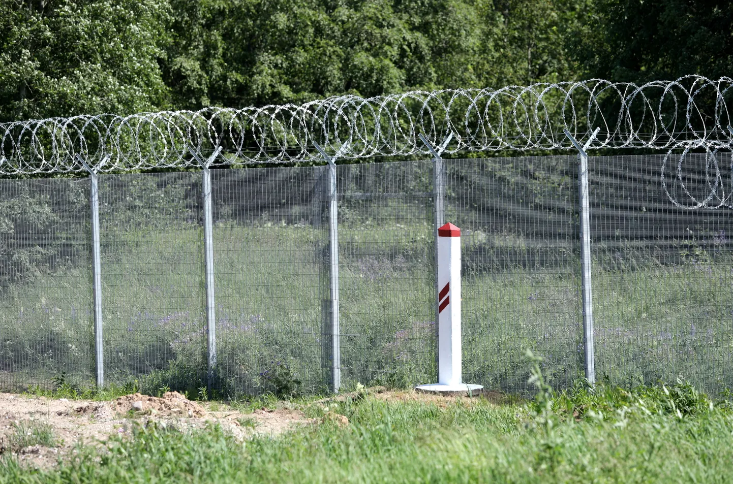 Raksta foto